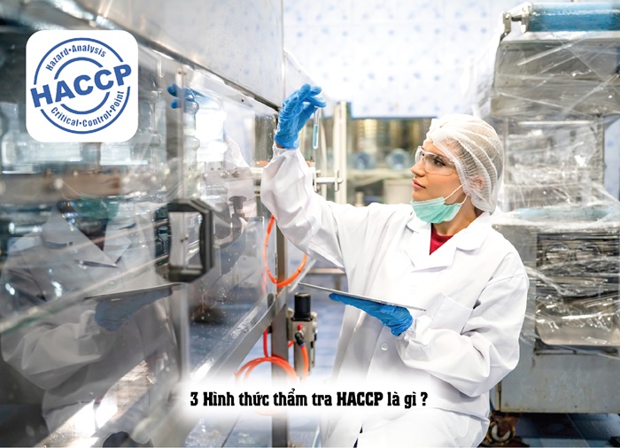 Hướng dẫn lập biên bản thẩm tra HACCP