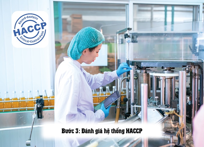 Hướng dẫn lập kế hoạch thẩm tra HACCP