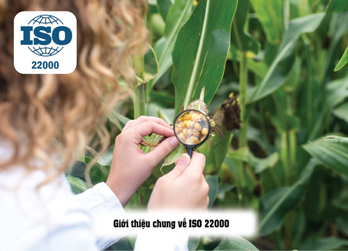 ISO 22000 CÓ CẦN THỬ NGHIỆM MẪU KHÔNG?