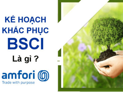 [BSCI remediation plan] Kế hoạch khắc phục BSCI là gì?