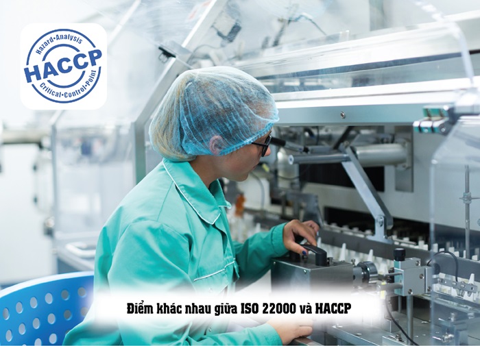 Làm ISO 22000 có cần làm HACCP không? Nên lựa chọn tiêu chuẩn nào?