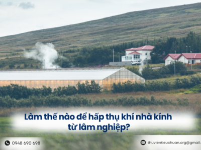Làm thế nào để hấp thụ khí nhà kính từ lâm nghiệp?