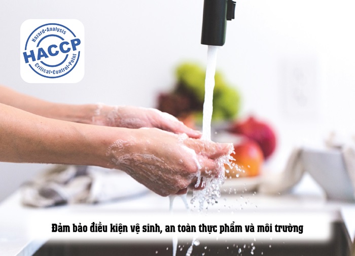 Khó khăn khi áp dụng HACCP tại Việt Nam & Cách khắc phục