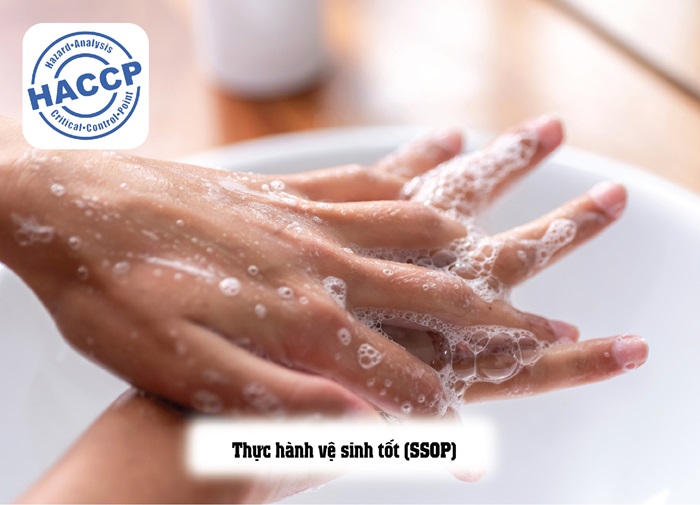 Những yêu cầu tiên quyết để áp dụng HACCP mà doanh nghiệp cần lưu ý
