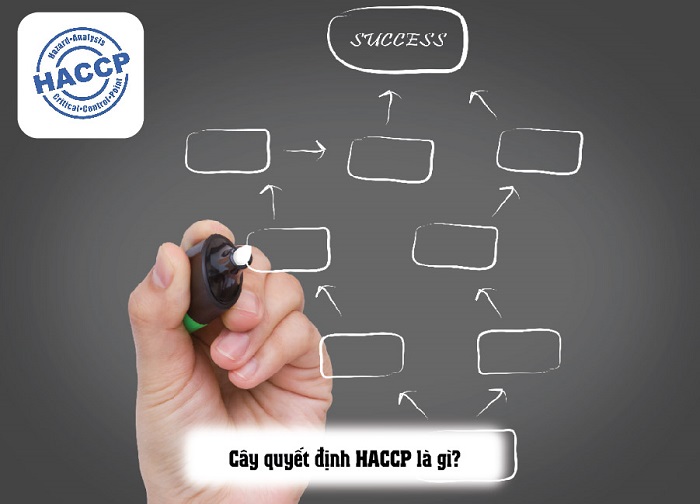 Nội dung cây quyết định HACCP