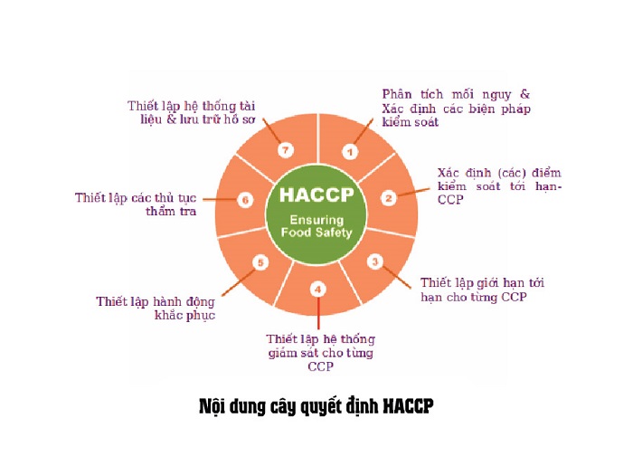 Nội dung cây quyết định HACCP