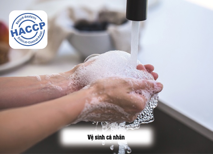 Nội dung cơ bản của HACCP theo từng chương