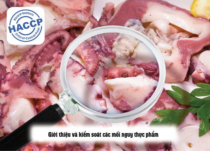 Nội dung cơ bản của HACCP theo từng chương