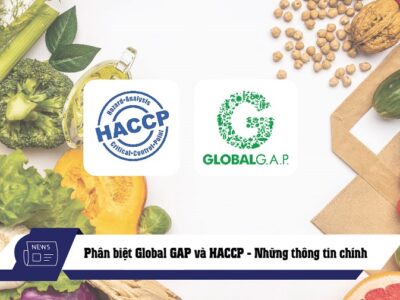 phân biệt global gap và haccp