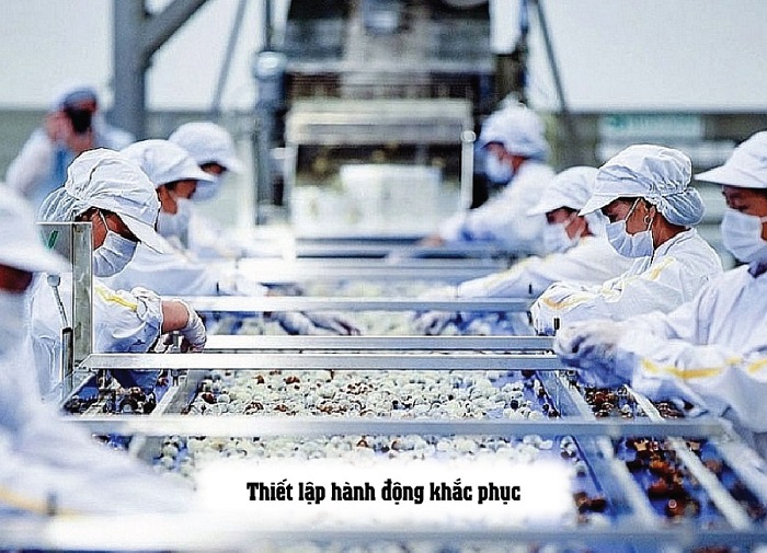 7 nguyên tắc HACCP 
