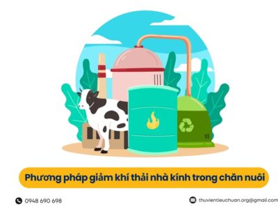 Phương pháp giảm khí thải nhà kính trong chăn nuôi 