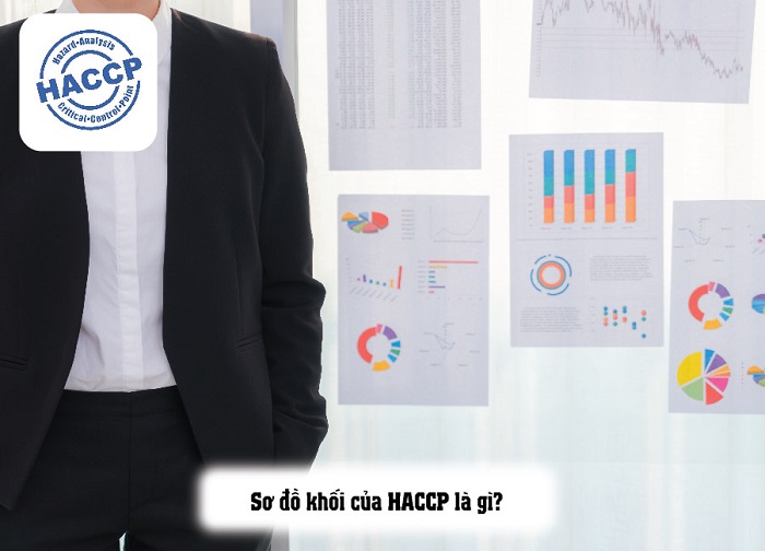 sơ đồ khối của haccp
