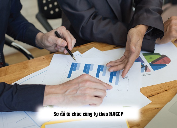 sơ đồ khối của haccp