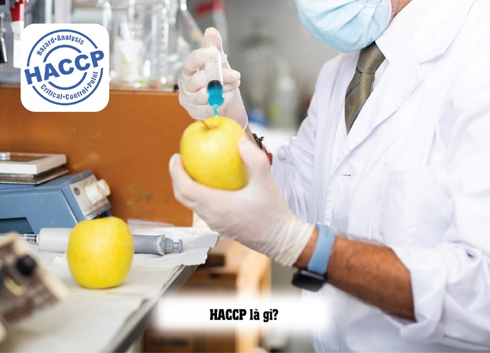 So sánh ISO 9001 và HACCP chi tiết bản mới nhất