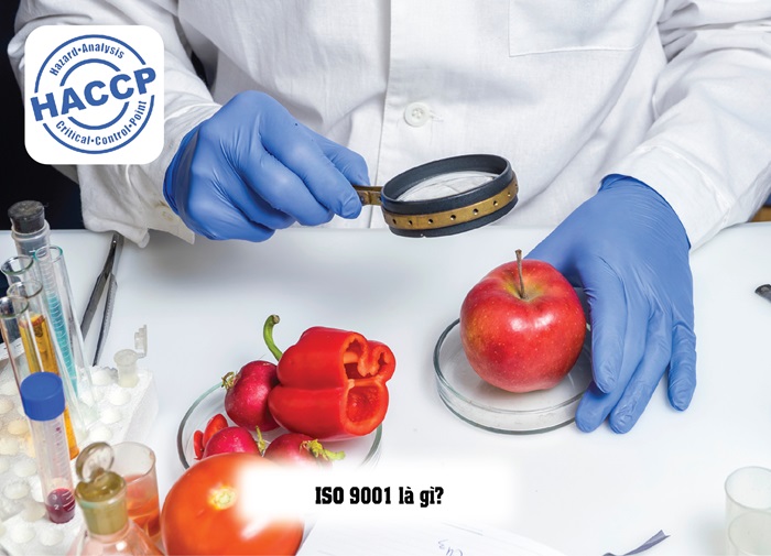 So sánh ISO 9001 và HACCP chi tiết bản mới nhất