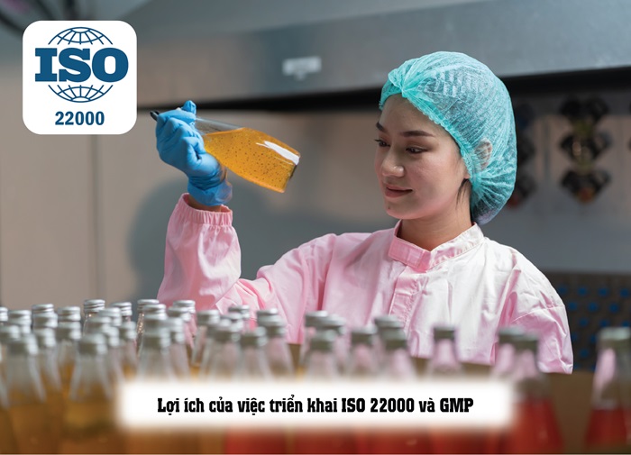 So sánh sự khác nhau giữa ISO 22000, GMP - Chi tiết nhất