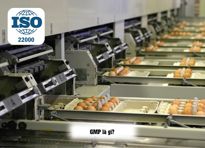 So sánh sự khác nhau giữa ISO 22000, GMP - Chi tiết nhất