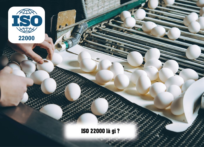 So sánh sự khác nhau giữa ISO 22000, GMP - Chi tiết nhất