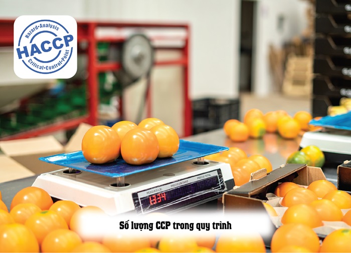Thời gian thẩm tra HACCP bao lâu là đủ? (Giải đáp thắc mắc)
