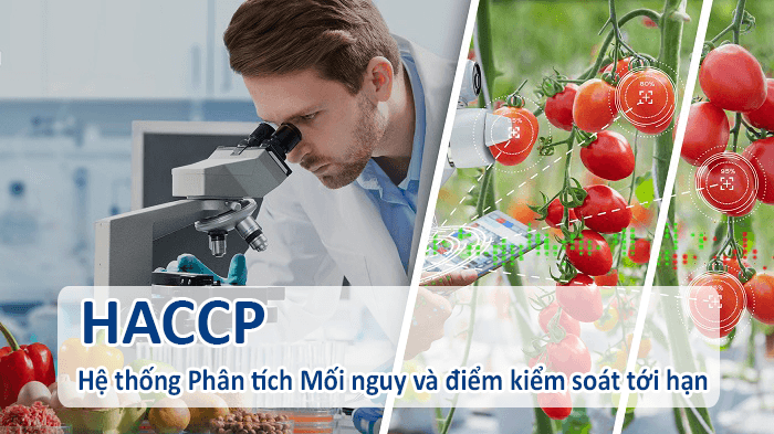 Chuyên đề HACCP Liệt kê và phân tích mối nguy  VNC