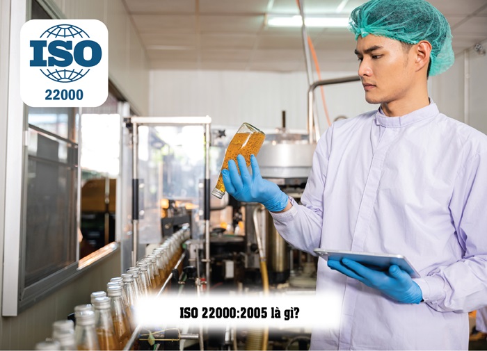 Tiêu chuẩn ISO 22000:2005 hết hiệu lực chưa? Giải đáp chi tiết