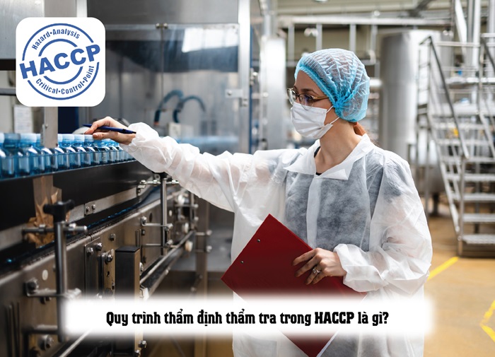 Triển khai quy trình thẩm định thẩm tra HACCP
