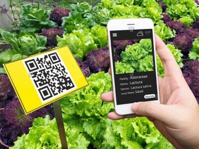 việc truy xuất nguồn gốc