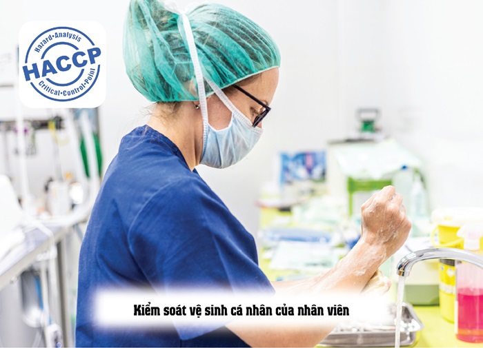Yêu cầu về nhà xưởng HACCP mà doanh nghiệp cần đáp ứng được